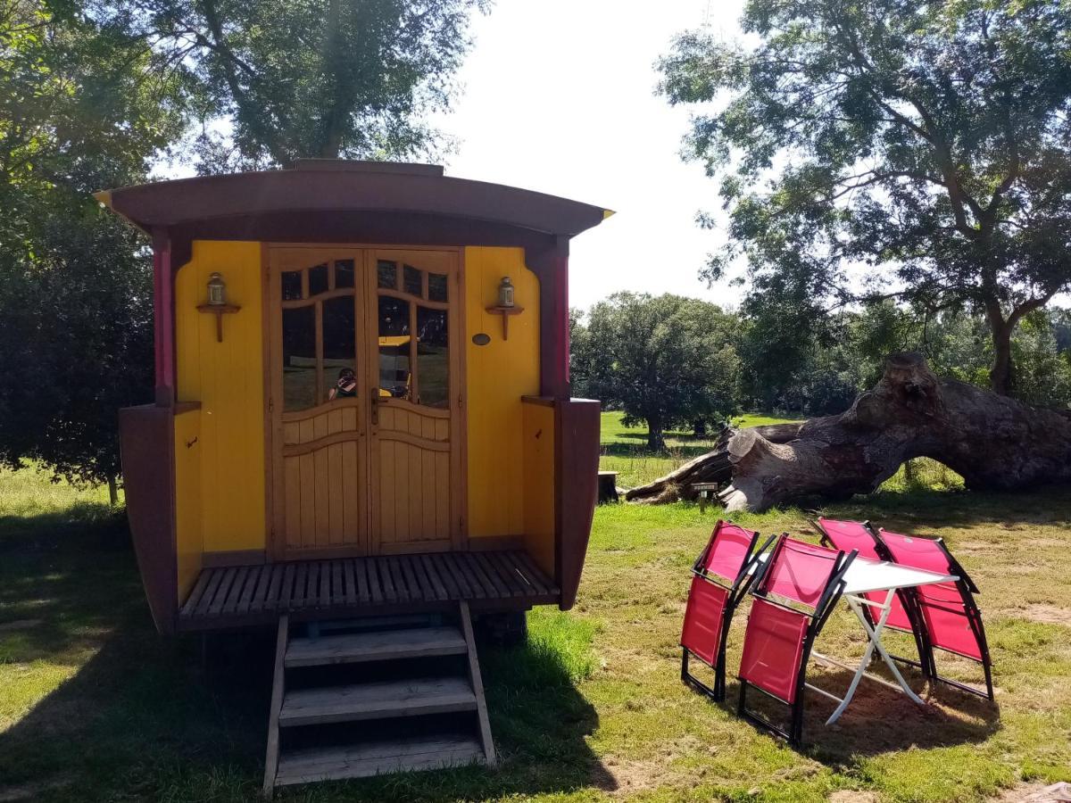 Camping La Bergerie Hotel La Chapelle-Achard Kültér fotó